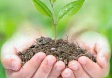 Kiến Thức cơ bản về phân bón