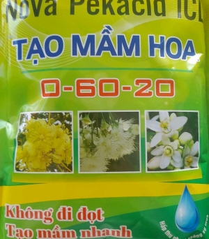 0-60-20. Tạo mầm hoa