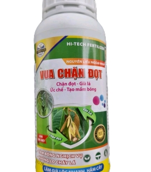 Chặn đọt