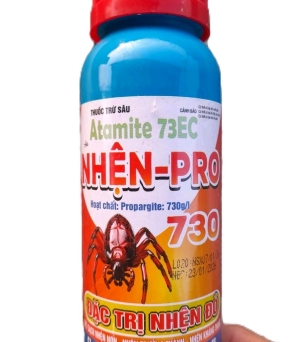 NHỆN PRO