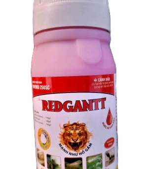 REDGANIT