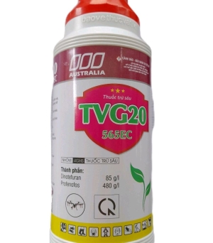 TVG 20
