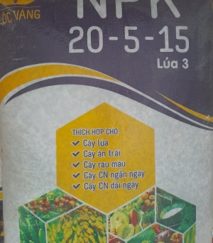 Lúa 3