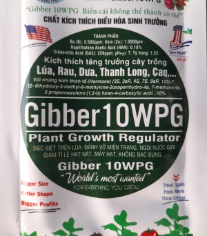 Gib