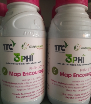 3 Phi