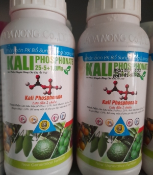 KaliP