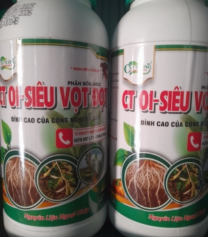 Siêu vọt đọt