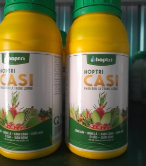 Casi