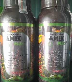 Amix
