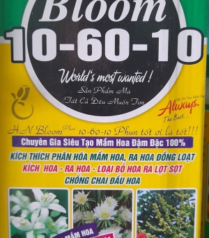 10-60-10