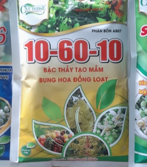 Tạo mầm