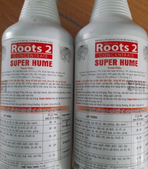 Root 2