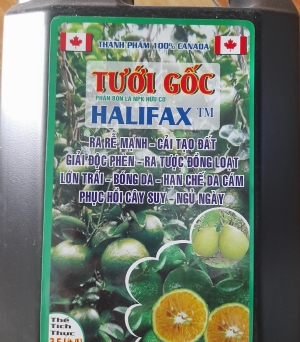 Halifax