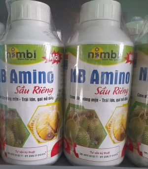 Lớn trái