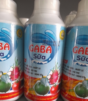 Gaba sữa
