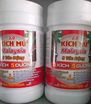 Kích mủ 2.0
