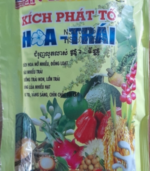 Kích phát tố