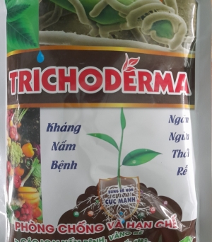 Trichoderma