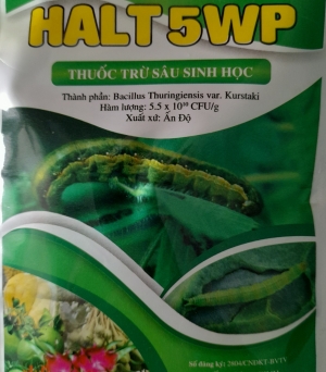 Halt