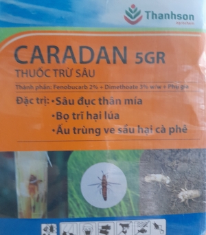 Caradan 5G