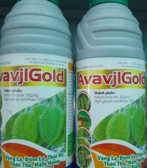 Avavjlgold