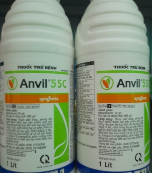 Anvil 5SC