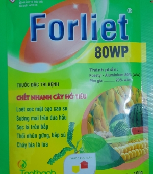 Foliette