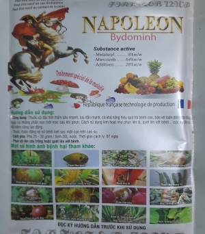Napoleon
