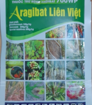 Aragibat 