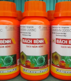 Bách bệnh