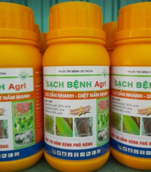 Sạch bệnh