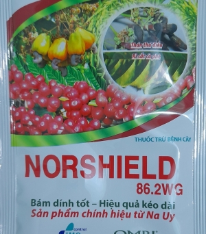 Norshield