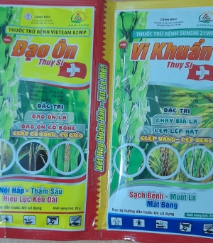 Cặp đạo ôn, vi khuẩn