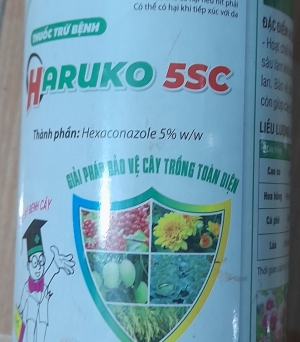 Haruko 5SC
