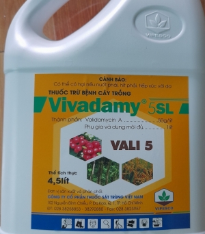Valy 5