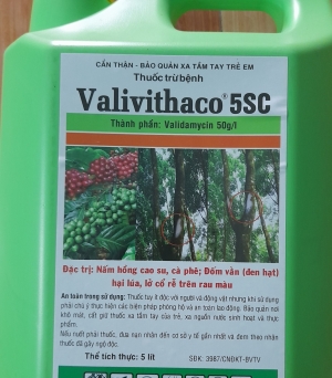 Valy 5SL