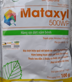 Metalaxyl 500WP