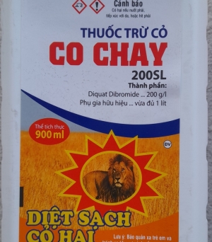Cỏ cháy