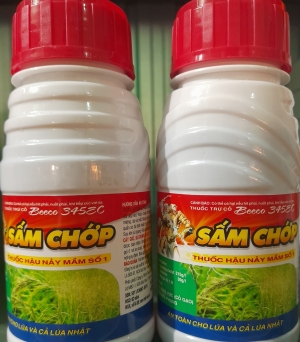 Sấm chớp 