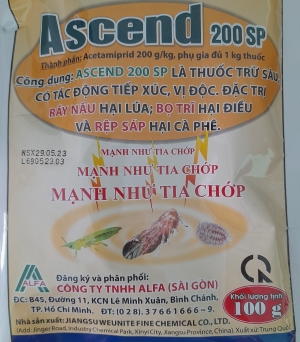 Ascend 200SP