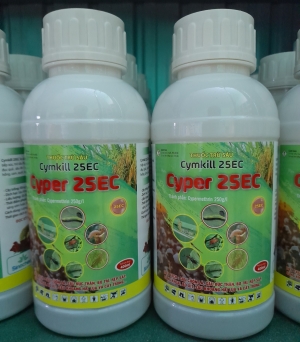 Cyper 25EC