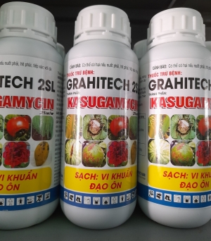 Grahitech 2SL