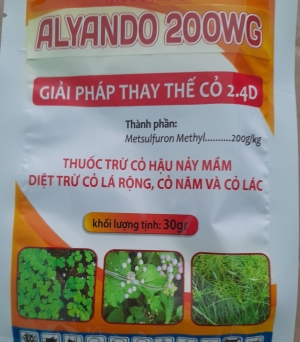 Alyando 200WG