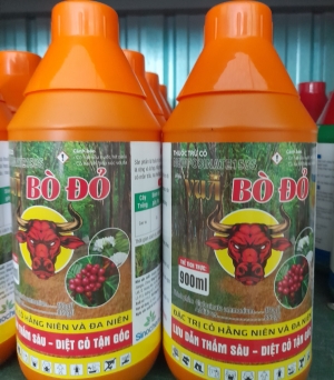 Bò đỏ