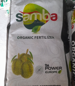 Samba