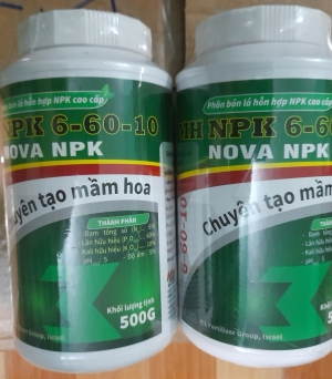 Siêu tạo mầm hoa