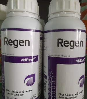 Regen