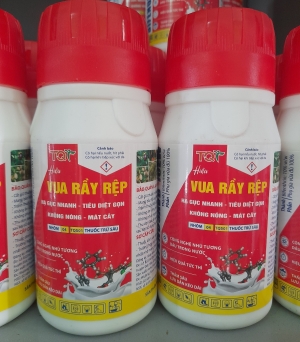 Vua rầy rệp