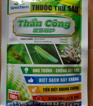 Thần công 25WP