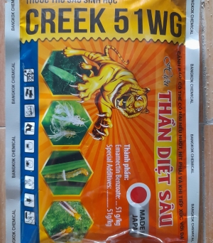 Creek